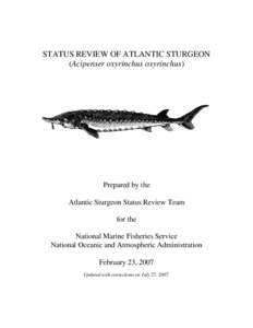2007 Status Review of Atlantic sturgeon (Acipenser oxyrinchus oxyrinchus)