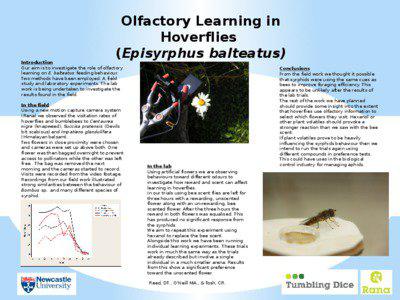 Olfactory Learning in Hoverflies (Episyrphus balteatus)