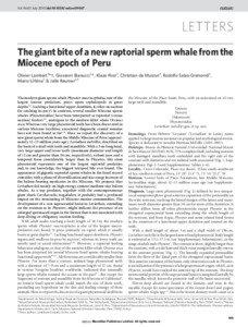 The giant bite of a new raptorial sperm whale from the Miocene epoch of Peru