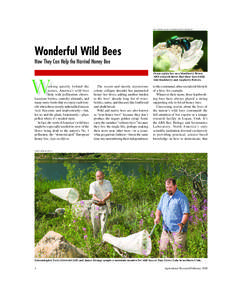 THE FURROW, DEERE & COMPANY/STEVE WERBLOW  Wonderful Wild Bees How They Can Help the Harried Honey Bee  W