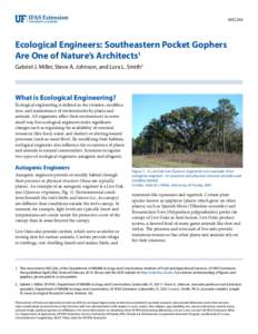 WEC244  Ecological Engineers: Southeastern Pocket Gophers Are One of Nature’s Architects1 Gabriel J. Miller, Steve A. Johnson, and Lora L. Smith2