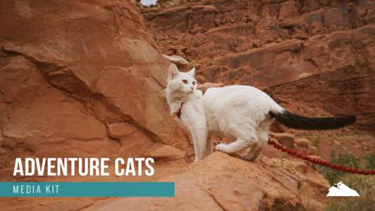 ADVENTURE CATS MEDIA KIT about ADVENTURE CATS