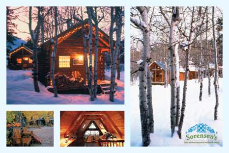 Time to plan for your fall and winter Sierra visits! We want to make sure you get the perfect cozy cabin for you and your family for the holidays or winter sojourn. Whatever occasion ~ come and enjoy the high country! W