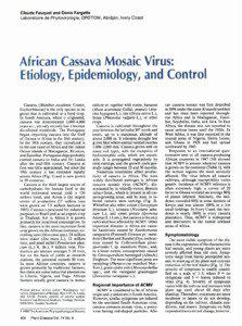 Staple foods / Cassava / Jamaican cuisine / Tropical agriculture / Tubers / Tree of life / African cassava mosaic virus / Crop / Whitefly / Viruses / Food and drink / Biology