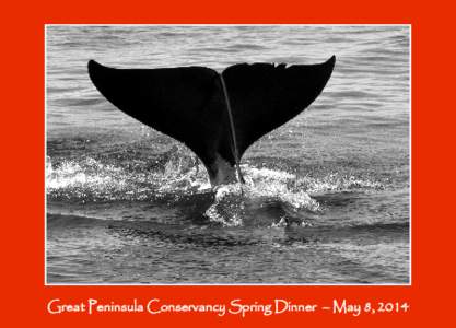 Great Peninsula Conservancy Spring Dinner – May 8, 2014  Thanks to our Dinner Sponsors