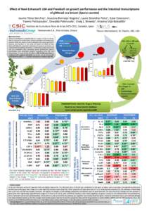 Effect of Next Enhance 150 and Previda on growth performance and the intestinal transcriptome of gilthead sea bream (Sparus aurata) 1 Pérez-Sánchez ,  1