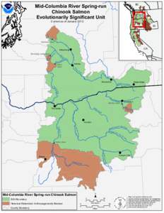 Mid-Columbia River Spring-run Chinook Salmon Evolutionarily Significant Unit BC WA