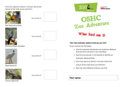 Put a tick, stamp or sticker in the box next to the picture of the birds as you see them. OSHCture  Can you find it?