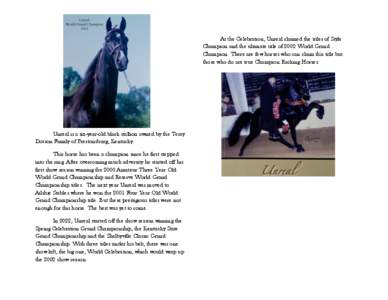 At the Celebration, Unreal claimed the titles of Style Champion and the ultimate title of 2002 World Grand Champion. There are few horses who can claim this title but those who do are true Champion Racking Horses.  Unrea