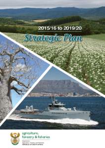 toStrategic Plan agriculture, forestry & fisheries