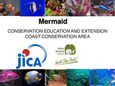 Mermaid CONSERVATION EDUCATION AND EXTENSION COAST CONSERVATION AREA Outline •