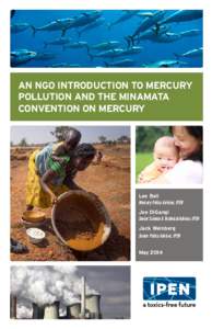 An NGO Introduction to Mercury Pollution and the Minamata Convention on Mercury Lee Bell Mercury Policy Advisor, IPEN