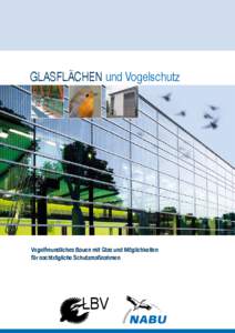 Glasflächen und Vogelschutz  Vogelfreundliches Bauen mit Glas und Möglichkeiten für nachträgliche Schutzmaßnahmen  LBV