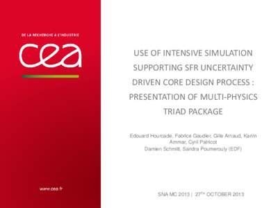 USE OF INTENSIVE SIMULATION SUPPORTING SFR UNCERTAINTY DRIVEN CORE DESIGN PROCESS : PRESENTATION OF MULTI-PHYSICS TRIAD PACKAGE Edouard Hourcade, Fabrice Gaudier, Gille Arnaud, Karim