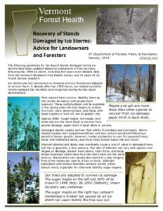Vermont  Forest Health Recovery of Stands Damaged by Ice Storms: