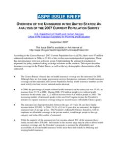 OVERVIEW OF THE UNINSURED IN THE UNITED STATES: AN ANALYSIS OF THE 2007 CURRENT POPULATION SURVEY