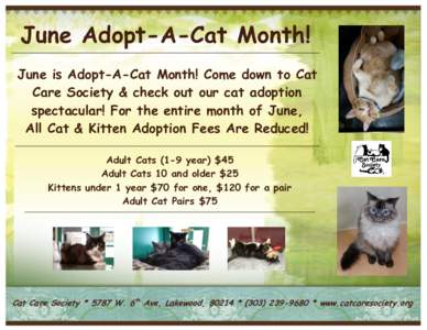 June Adopt-A-Cat Month! June is Adopt-A-Cat Month! Come down to Cat Care Society & check out our cat adoption spectacular! For the entire month of June, All Cat & Kitten Adoption Fees Are Reduced! Adult Cats (1-9 year) $