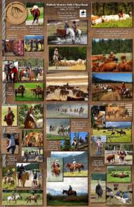 Natural horsemanship / Buck / Films / Equestrian sports / Ranch sorting / Cutting / Ranch / Sports / Equestrianism / Recreation