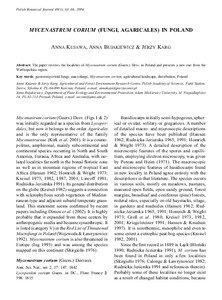 Polish Botanical Journal 49(1): 63–66, 2004  MYCENASTRUM CORIUM (FUNGI, AGARICALES) IN POLAND