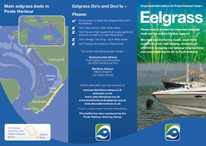 Main eelgrass beds in Poole Harbour Hamworthy Eelgrass Do’s and Don’ts – Please: