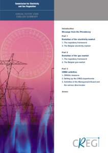 Commission for Electricity and Gas Regulation ANNUAL REPORT[removed]ENGLISH SUMMARY