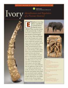 national museum of afr ican art conservation la b  Ivory Smithsonian National Museum of African Art
