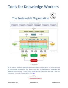 Tools for Knowledge Workers The Sustainable Organization As the diagram at the top right-hand of the page suggests, Fit and Fitness are the Yin and Yang of organizational sustainability. “Fit” refers to how well the 