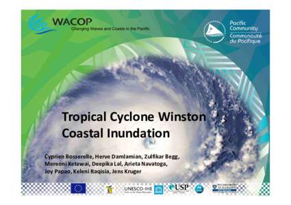 Session4-4_TC Winston Coastal Inundation & Building Damages_BosserelleC