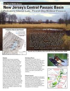 U.S. Fish & Wildlife Service  New Jersey’s Central Passaic Basin Prehistoric Glacial Lake, Present-Day Wetland Treasure