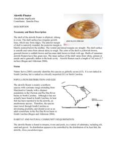 Alewife Floater Anodonta implicata Contributor: Jennifer Price DESCRIPTION Taxonomy and Basic Description The shell of the alewife floater is elliptical, oblong