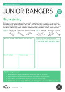 Bird / Dinosaurs / Zoology / Australian Magpie / Beak / Binoculars / Ornithology / Birds of Western Australia / Animals / Biological pest control