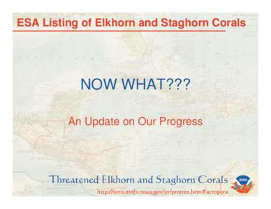 ESA Listing of Elkhorn and Staghorn Corals  NOW WHAT??? An Update on Our Progress  Final Listing