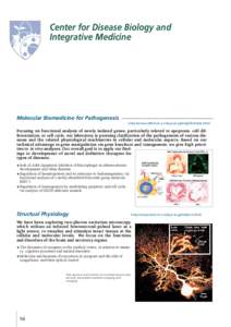 Center for Disease Biology and Integrative Medicine Molecular Biomedicine for Pathogenesis ——————————————————————————— http://www.cdbim.m.u-tokyo.ac.jp/english/index.