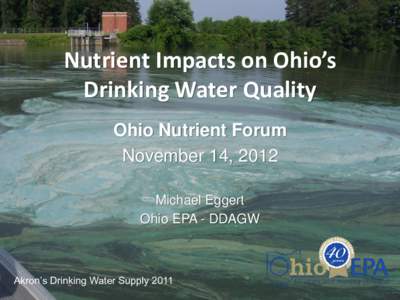 Nutrient Impacts on Ohio’s Drinking Water Quality Ohio Nutrient Forum November 14, 2012 Michael Eggert Ohio EPA - DDAGW