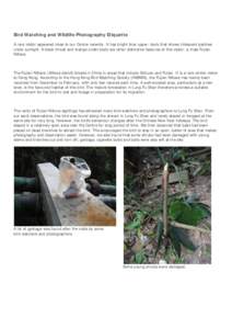 Microsoft Word - Bird_Watching_and_Wildlife_Photography_Etiquette__Eng__26Oct2011.docx