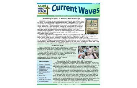 14 spring current waves.qxd