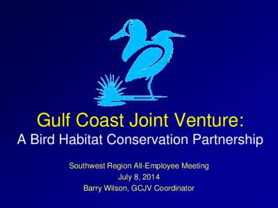 Habitat Mosaics to Meet the Needs of Priority Gulf Coast Birds