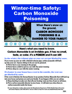 Carbon monoxide poisoning / Gases / Industrial hygiene / Smog / Technology / Carbon monoxide / Monoxide / Exhaust system / Home safety / Health / Suicide methods / Medicine