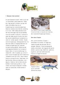 7. Monster fisk med bid i En tysk fossilsamler fandt i 1985 en stor fisk i en cementsten ved Knudeklinten. Fisken kan i dag ses på Fur Museum og lige ved siden af fortælles historien om knogletungernes nulevende slægt