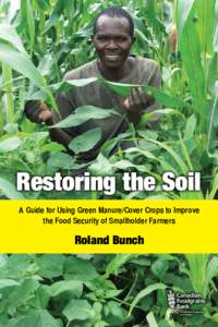 Restoring the Soil A Guide for Using Green Manure/Cover Crops to Improve the Food Security of Smallholder Farmers Roland Bunch