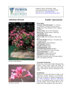 Stephen H. Brown, Horticulture Agent Lee County Extension, Fort Myers, Floridahttp://lee.ifas.ufl.edu/hort/GardenHome.shtml  Adenium obesum