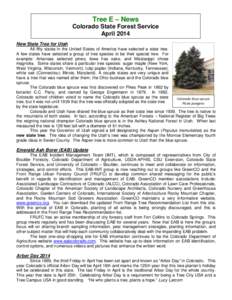 Tree E – News Colorado State Forest Service April 2014 New State Tree for Utah All fifty states in the United States of America have selected a state tree. A few states have selected a group of tree species to be their