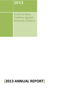 Violence Against Women Act / Gender studies / Domestic violence / Tulane Law School Domestic Violence Clinic / MOSAIC Threat Assessment Systems / Violence against women / Violence / Ethics