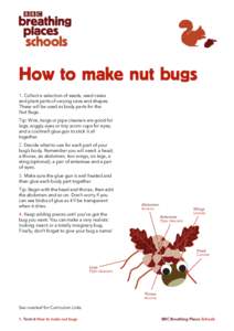 Zoology / Minibeast / Science education / Starship Troopers / Bug / Software bug / Insect / Orkin / Thorax / Arthropods / Phyla / Protostome