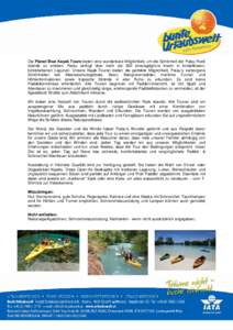Die Planet Blue Kayak Tours bieten eine wunderbare Möglichkeit, um die Schönheit der Palau Rock Islands zu erleben. Palau verfügt über mehr als 300 smaragdgrüne Inseln in kristallklaren, türkisfarbenen Lagunen. Uns