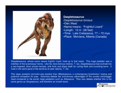 Daspletosaurus Daspletosaurus torosus •Diet: Meat •Name means: “Frightful Lizard” •Length: 12 m (36 feet) •Time: Late Cretaceous, 77 – 72 mya