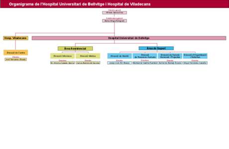 Organigrama de l’Hospital Universitari de Bellvitge i Hospital de Viladecans Director gerent Alfredo García Díaz Subdirectora gerent Berta Ortiga Fontgivell