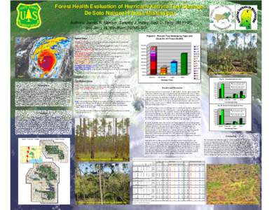 Forest Health Evaluation of Hurricane Katrina Tree Damage: De Soto National Forest, Mississippi