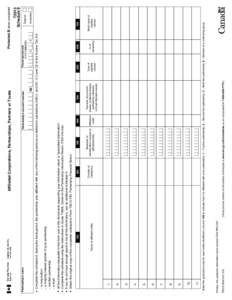 Affiliated Corporations, Partnerships, Partners or Trusts - T5013 Schedule 9