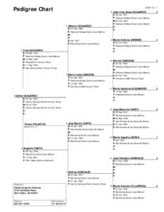 Pedigree Chart  Chart no. 1 8 Jose Ines Jesus GUAJARDO  4 Alberto GUAJARDO